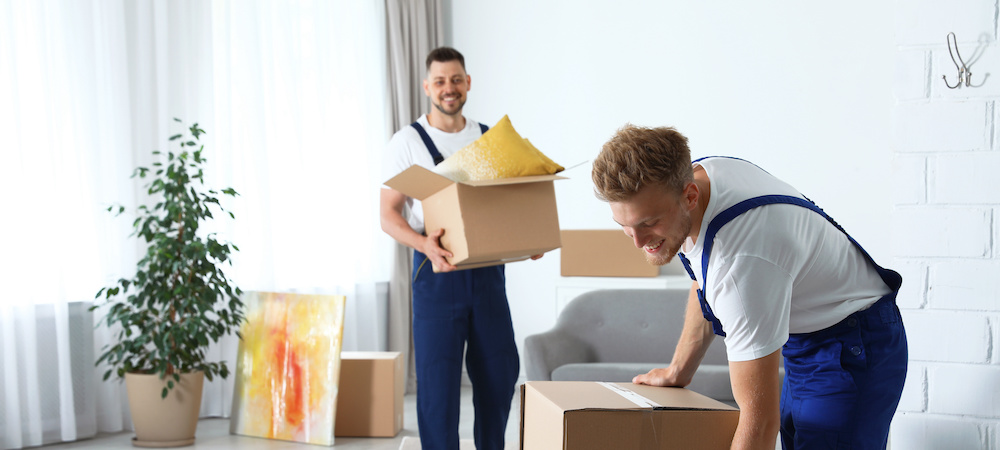 Moving service employees with cardboard boxes in room